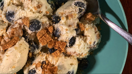 Blueberry Cobbler Ice Cream